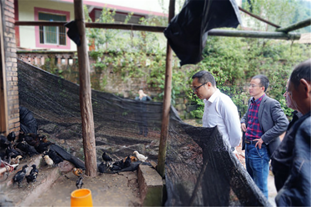 ����ᡤ(�й���½)��֤���ƻ���