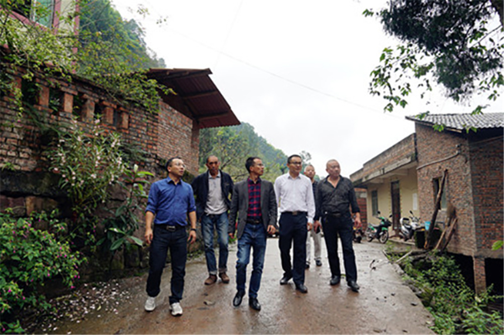 ����ᡤ(�й���½)��֤���ƻ���