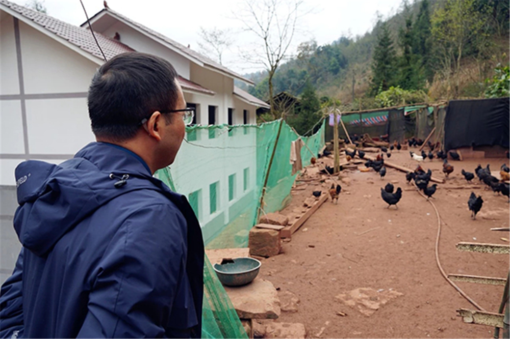 ����ᡤ(�й���½)��֤���ƻ���