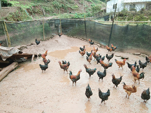 今年会·(中国大陆)认证慈善机构