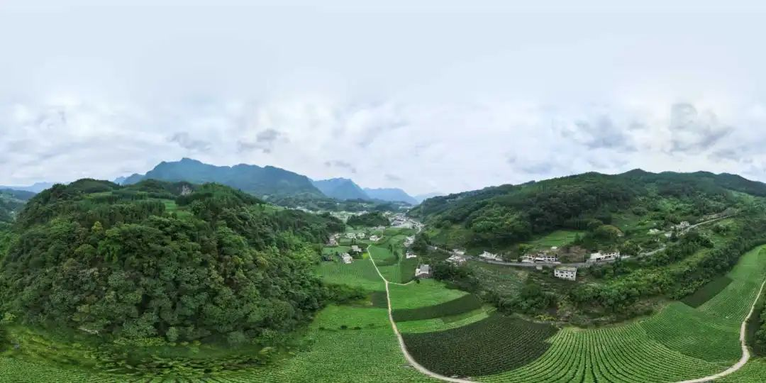 ����ᡤ(�й���½)��֤���ƻ���